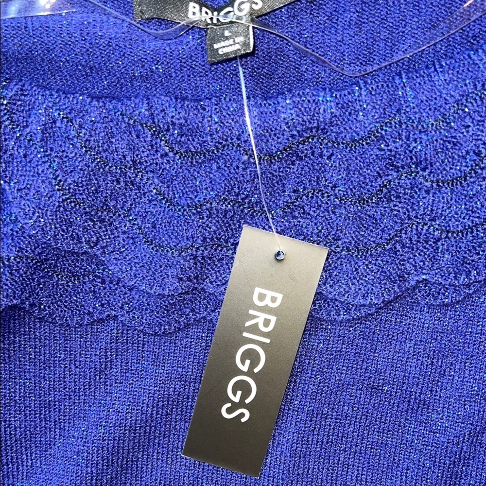 Briggs New York Royal Sapphire Blue Blouse with Scalloped Collar L - Picture 4 of 7